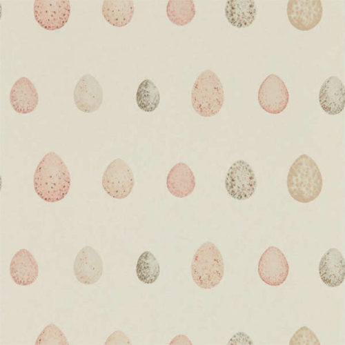 Nest Egg 216506